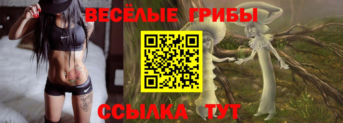 Бутурлиновка  Псилоцибиновые грибы прущие грибы  Псилоцибиновые грибы мицелий  Вход с VPN 